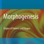 خرید و دانلود نسخه کامل کتاب Morphogenesis: Origins of Patterns and Shapes