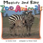 خرید و دانلود نسخه کامل کتاب Mother and Baby Zoo Animals (Zoo Animals (Abdo))