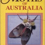 خرید و دانلود نسخه کامل کتاب Moths of Australia