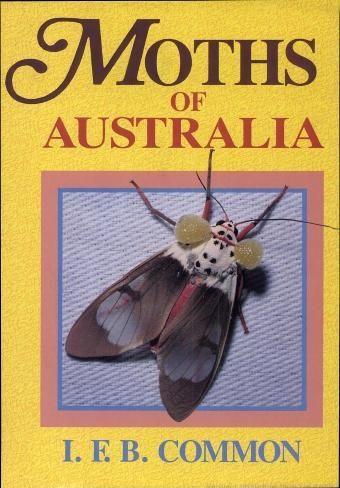 خرید و دانلود نسخه کامل کتاب Moths of Australia_68e7c3fd68dcb.jpeg خرید و دانلود نسخه کامل کتاب Moths of Australia