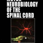خرید و دانلود نسخه کامل کتاب Motor Neurobiology of the Spinal Cord (Frontiers in Neuroscience)