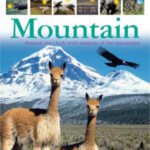 خرید و دانلود نسخه کامل کتاب Mountain (DK 24 HOURS)