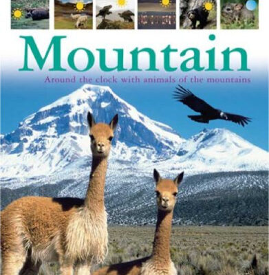 خرید و دانلود نسخه کامل کتاب Mountain (DK 24 HOURS)