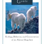 خرید و دانلود نسخه کامل کتاب Mountain Goats: Ecology, Behavior, and Conservation of an Alpine Ungulate