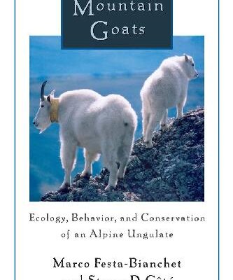 خرید و دانلود نسخه کامل کتاب Mountain Goats: Ecology, Behavior, and Conservation of an Alpine Ungulate