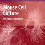 خرید و دانلود نسخه کامل کتاب Mouse Cell Culture: Methods and Protocols