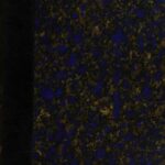 خرید و دانلود نسخه کامل کتاب Mulher Nua