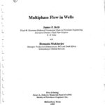 خرید و دانلود نسخه کامل کتاب Multiphase Flow in Wells, No. 17