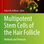 خرید و دانلود نسخه کامل کتاب Multipotent Stem Cells of the Hair Follicle: Methods and Protocols