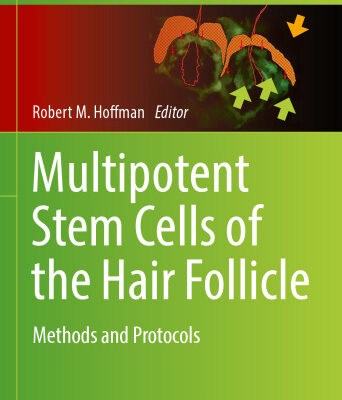 خرید و دانلود نسخه کامل کتاب Multipotent Stem Cells of the Hair Follicle: Methods and Protocols