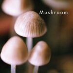 خرید و دانلود نسخه کامل کتاب Mushroom