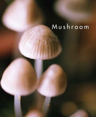 خرید و دانلود نسخه کامل کتاب Mushroom