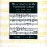 خرید و دانلود نسخه کامل کتاب Music Analysis in the Nineteenth Century: Hermeneutic Approaches
