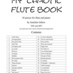 خرید و دانلود نسخه کامل کتاب My chaotic Flute book
