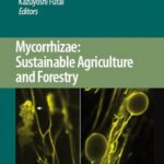 خرید و دانلود نسخه کامل کتاب MYCORRHIZAE SUSTAINABLE AGRICULTURE AND FORESTRY