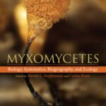 خرید و دانلود نسخه کامل کتاب Myxomycetes. Biology, systematics, biogeography, and ecology