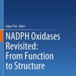 خرید و دانلود نسخه کامل کتاب NADPH Oxidases Revisited: From Function to Structure