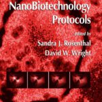 خرید و دانلود نسخه کامل کتاب NanoBiotechnology Protocols