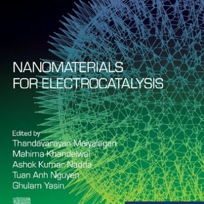 خرید و دانلود نسخه کامل کتاب Nanomaterials for Electrocatalysis