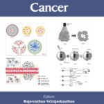 خرید و دانلود نسخه کامل کتاب Nanomedicine and Cancer