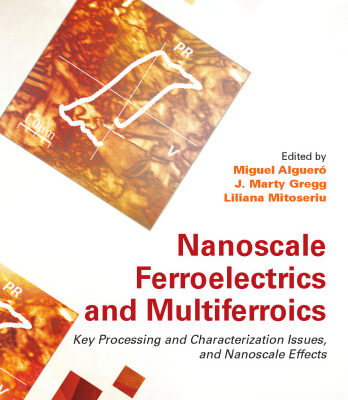 خرید و دانلود نسخه کامل کتاب Nanoscale Ferroelectrics and Multiferroics: Key Processing and Characterization Issues, and Nanoscale Effects