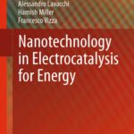 خرید و دانلود نسخه کامل کتاب Nanotechnology in Electrocatalysis for Energy