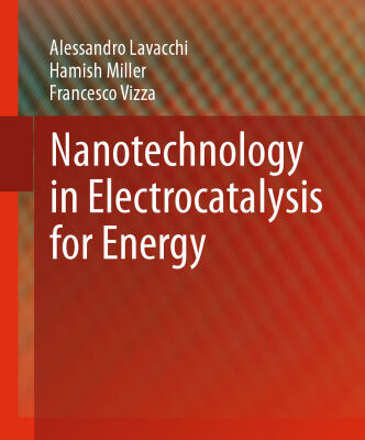 خرید و دانلود نسخه کامل کتاب Nanotechnology in Electrocatalysis for Energy