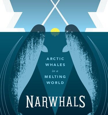 خرید و دانلود نسخه کامل کتاب Narwhals: Arctic Whales in a Melting World