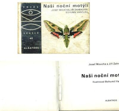 خرید و دانلود نسخه کامل کتاب Nasi nocni motyli (Our moths – Ночные бабочки)