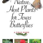 خرید و دانلود نسخه کامل کتاب Native Host Plants for Texas Butterflies: A Field Guide