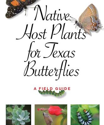 خرید و دانلود نسخه کامل کتاب Native Host Plants for Texas Butterflies: A Field Guide