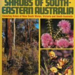 خرید و دانلود نسخه کامل کتاب Native Trees and Shrubs of South-Eastern Australia