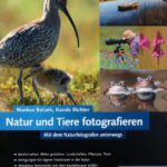 خرید و دانلود نسخه کامل کتاب Natur und Tiere fotografieren mit dem Naturfotografen unterwegs ; [Motive sehen, Bilder gestalten: Landschaften, Pflanzen, Tiere ; Anregungen für eigene Fototouren in der Natur ; attraktive Naturbilder mit allen Einstellungen erklärt]