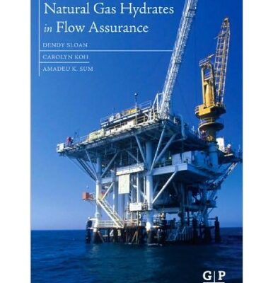 خرید و دانلود نسخه کامل کتاب Natural Gas Hydrates in Flow Assurance