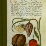 خرید و دانلود نسخه کامل کتاب Nature Illuminated: Flora and Fauna from the Court of Emperor Rudolf II