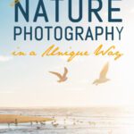 خرید و دانلود نسخه کامل کتاب Nature Photography in a Unique Way