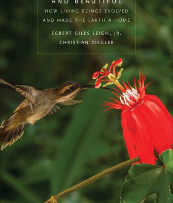 خرید و دانلود نسخه کامل کتاب Nature Strange and Beautiful: How Living Beings Evolved and Made the Earth a Home