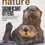 خرید و دانلود نسخه کامل کتاب Nature – The International Journal of Science / 1 February 2024