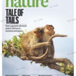 خرید و دانلود نسخه کامل کتاب Nature – The International Journal of Science / 29 February 2024