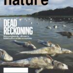 خرید و دانلود نسخه کامل کتاب Nature – The International Journal of Science / 8 February 2024