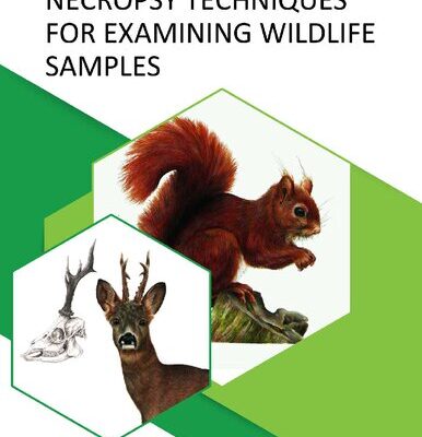 خرید و دانلود نسخه کامل کتاب Necropsy Techniques for Examining Wildlife Samples