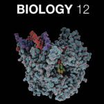 خرید و دانلود نسخه کامل کتاب Nelson Biology 12 University Preparation Student Book