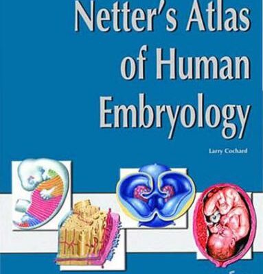 خرید و دانلود نسخه کامل کتاب Netter’s Atlas of Human Embryology