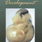خرید و دانلود نسخه کامل کتاب Neural Development