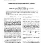 خرید و دانلود نسخه کامل کتاب Neural Networks. Genetically Trained C