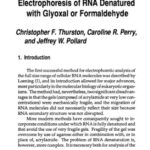 خرید و دانلود نسخه کامل کتاب New Nucleic Acid Techniques