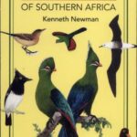 خرید و دانلود نسخه کامل کتاب Newman’s Birds of Southern Africa
