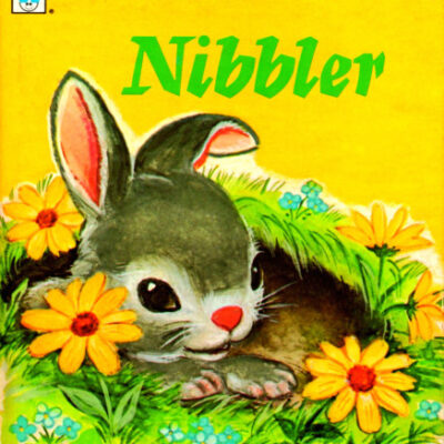 خرید و دانلود نسخه کامل کتاب Nibbler