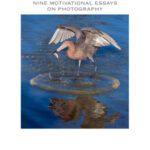 خرید و دانلود نسخه کامل کتاب Nine Motivational Essays on Photography