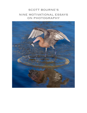 خرید و دانلود نسخه کامل کتاب Nine Motivational Essays on Photography